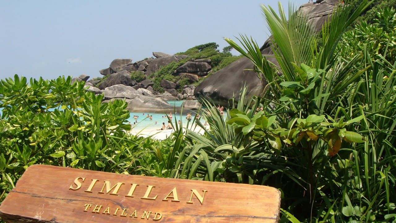 Симиланы 1